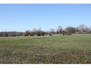Property photo 1 - REAL ESTATE AUCTION - 366+/- ACRES OFFERED IN 5 TRACTS IN WESTERN JEFFERSON COUNTY, INDIANA